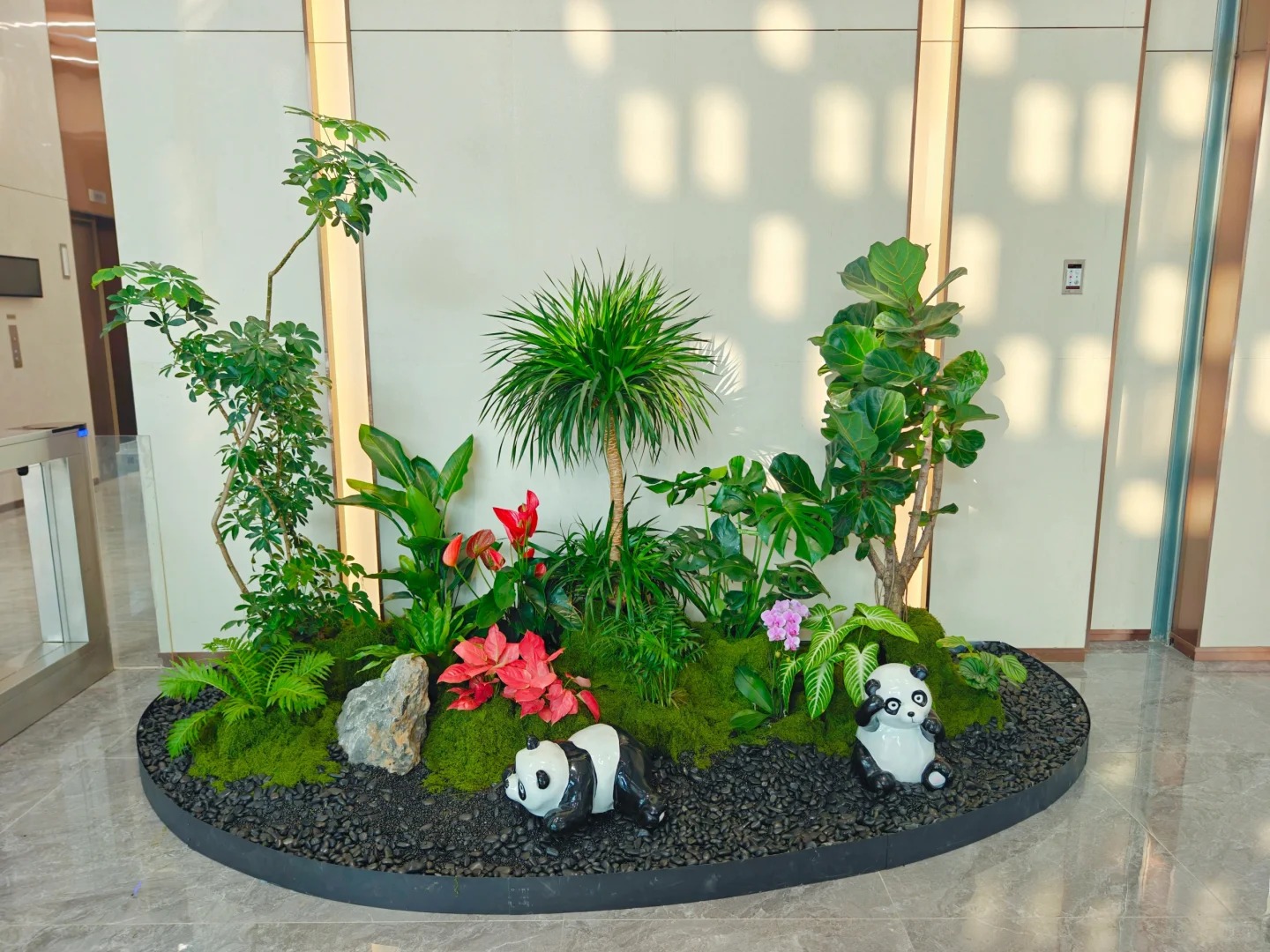 体验慈溪盆景租摆设计，邂逅自然之境