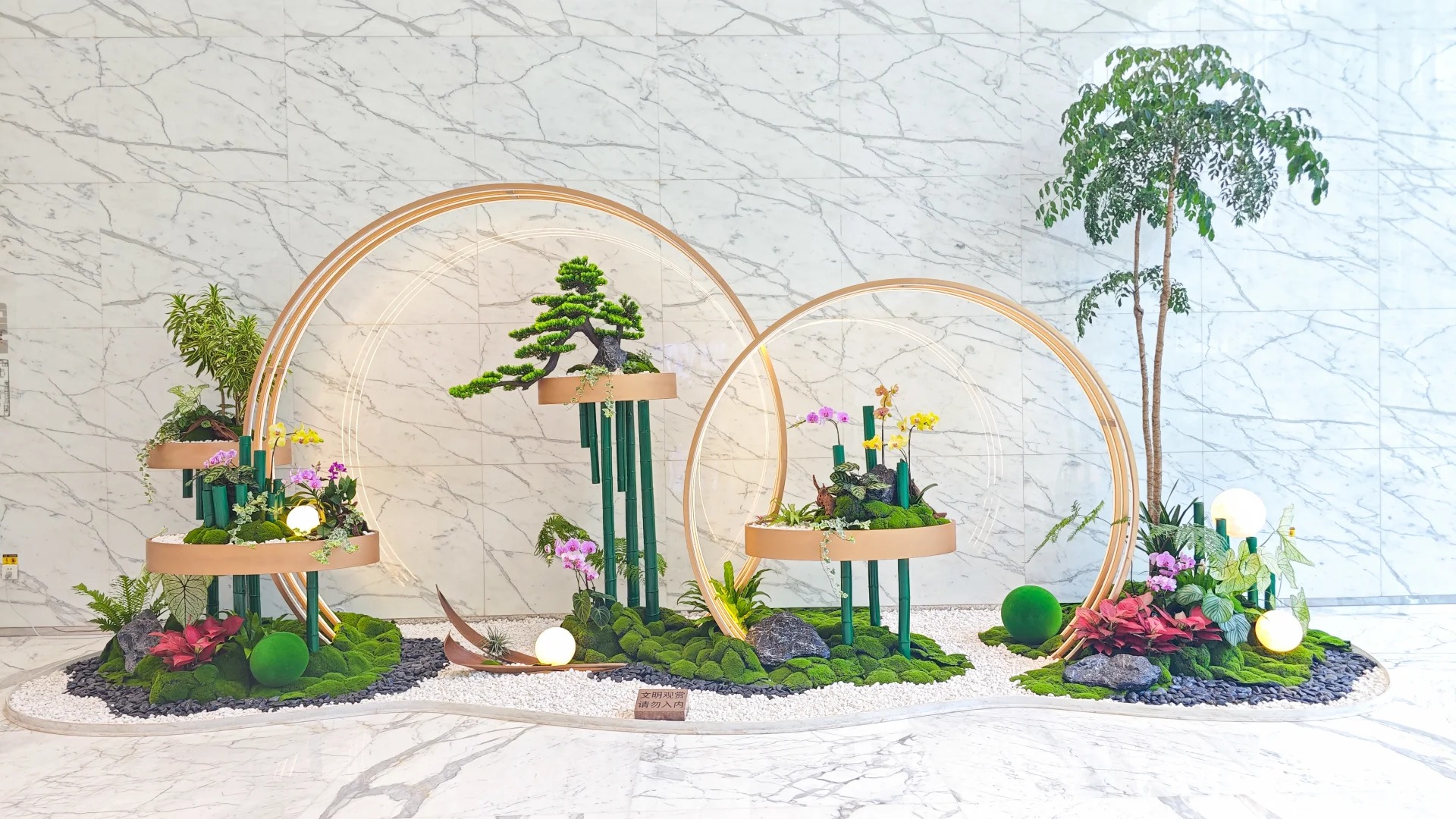 专业花木租赁，宁波鄞州的绿色优选